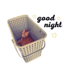 ミッシェルと3匹の猫（個別スタンプ：16）