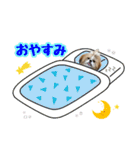 シーズー★メロディー（個別スタンプ：2）