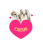 シーズー★メロディー（個別スタンプ：3）