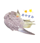 オカメインコのまさはる＆まめろースタンプ（個別スタンプ：2）