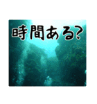 海の親しい人と日常で使えるスタンプ（個別スタンプ：9）