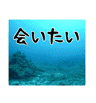 海の親しい人と日常で使えるスタンプ（個別スタンプ：10）