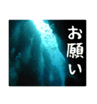 海の親しい人と日常で使えるスタンプ（個別スタンプ：11）