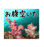 海の親しい人と日常で使えるスタンプ（個別スタンプ：17）