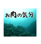 海の親しい人と日常で使えるスタンプ（個別スタンプ：19）