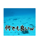 海の親しい人と日常で使えるスタンプ（個別スタンプ：22）