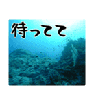 海の親しい人と日常で使えるスタンプ（個別スタンプ：35）