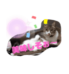 ミミ子の日常（個別スタンプ：4）