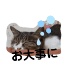ミミ子の日常（個別スタンプ：6）