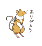 ハチネズミ1（個別スタンプ：1）