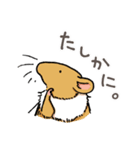 ハチネズミ1（個別スタンプ：13）