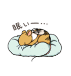 ハチネズミ1（個別スタンプ：29）