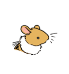 ハチネズミ1（個別スタンプ：33）