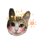 幸福の福福 様 ②（個別スタンプ：1）