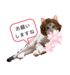 幸福の福福 様 ②（個別スタンプ：9）