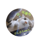幸福の福福 様 ②（個別スタンプ：12）