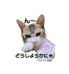 幸福の福福 様 ②（個別スタンプ：13）