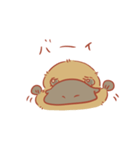 カモノハシぽんちゃん（個別スタンプ：8）