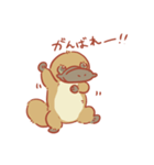 カモノハシぽんちゃん（個別スタンプ：10）