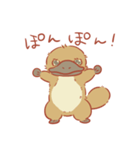 カモノハシぽんちゃん（個別スタンプ：12）
