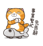 ランラン猫 15 (台湾版)（個別スタンプ：15）
