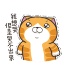 ランラン猫 15 (台湾版)（個別スタンプ：19）