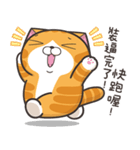 ランラン猫 15 (台湾版)（個別スタンプ：26）