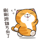 ランラン猫 15 (台湾版)（個別スタンプ：27）