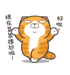 ランラン猫 15 (台湾版)（個別スタンプ：30）