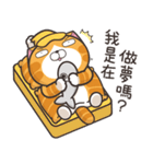 ランラン猫 15 (台湾版)（個別スタンプ：36）