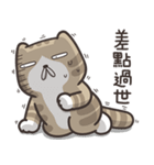 ドラドラ猫 2 (台湾版)（個別スタンプ：11）