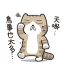 ドラドラ猫 2 (台湾版)（個別スタンプ：24）