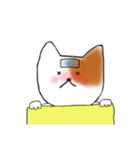 ねこすたんぷ_（個別スタンプ：5）
