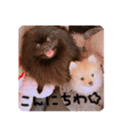 るんろーこむあずの毎日（個別スタンプ：5）