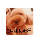 るんろーこむあずの毎日（個別スタンプ：7）