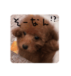 るんろーこむあずの毎日（個別スタンプ：8）