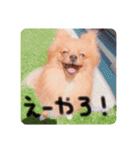 るんろーこむあずの毎日（個別スタンプ：13）