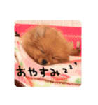るんろーこむあずの毎日（個別スタンプ：15）