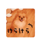 るんろーこむあずの毎日（個別スタンプ：17）