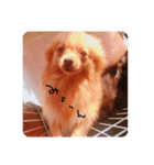 るんろーこむあずの毎日（個別スタンプ：18）
