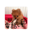 るんろーこむあずの毎日（個別スタンプ：19）