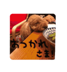 るんろーこむあずの毎日（個別スタンプ：21）
