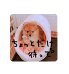 るんろーこむあずの毎日（個別スタンプ：22）