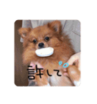 るんろーこむあずの毎日（個別スタンプ：24）