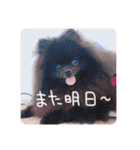 るんろーこむあずの毎日（個別スタンプ：26）