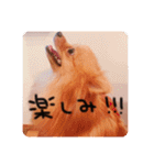 るんろーこむあずの毎日（個別スタンプ：27）