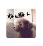 るんろーこむあずの毎日（個別スタンプ：30）