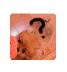 るんろーこむあずの毎日（個別スタンプ：32）
