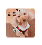 るんろーこむあずの毎日（個別スタンプ：34）