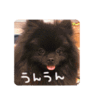 るんろーこむあずの毎日（個別スタンプ：35）